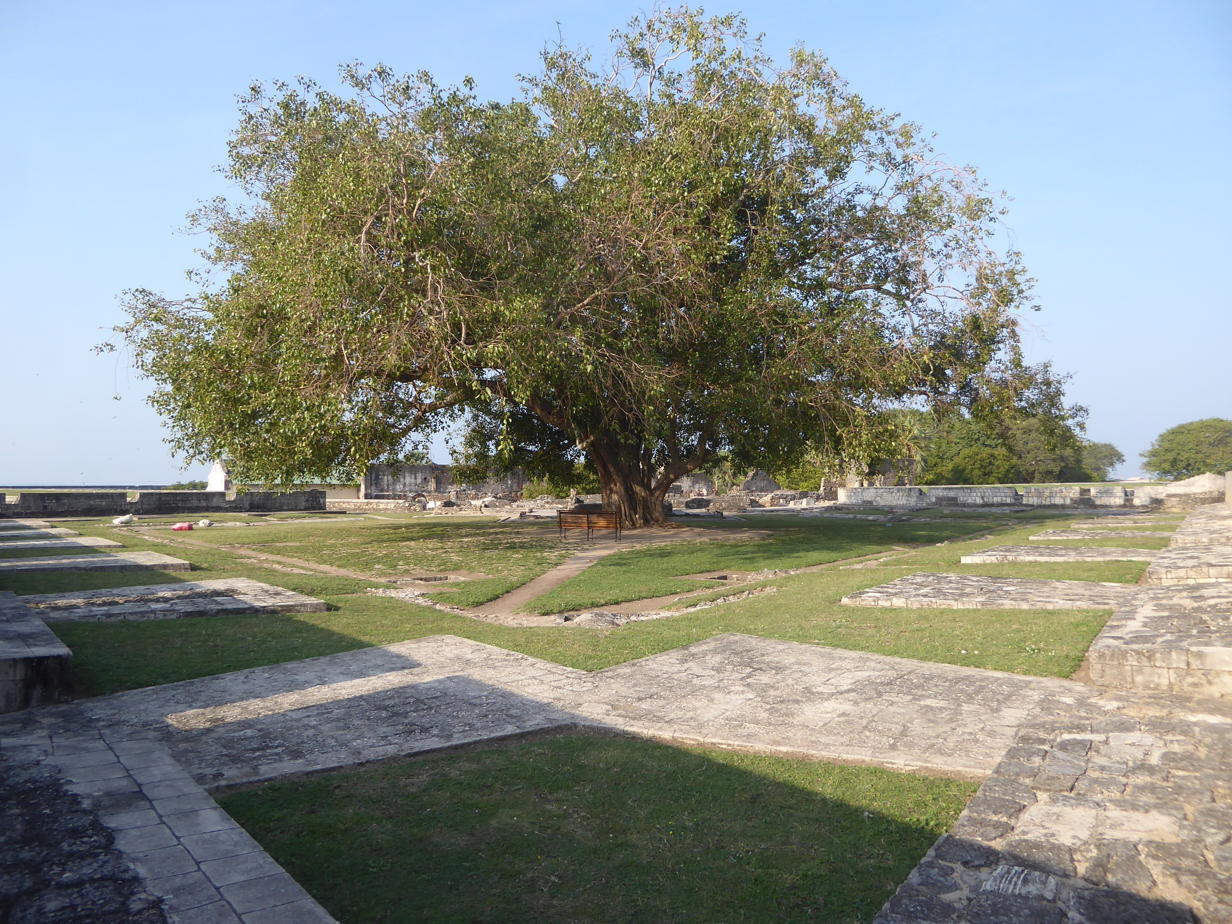 The spot is interesting because a very young Leonard Woolf was stationed in Jaffna in 1905. In Growing, he writes: "It was in this bungalow