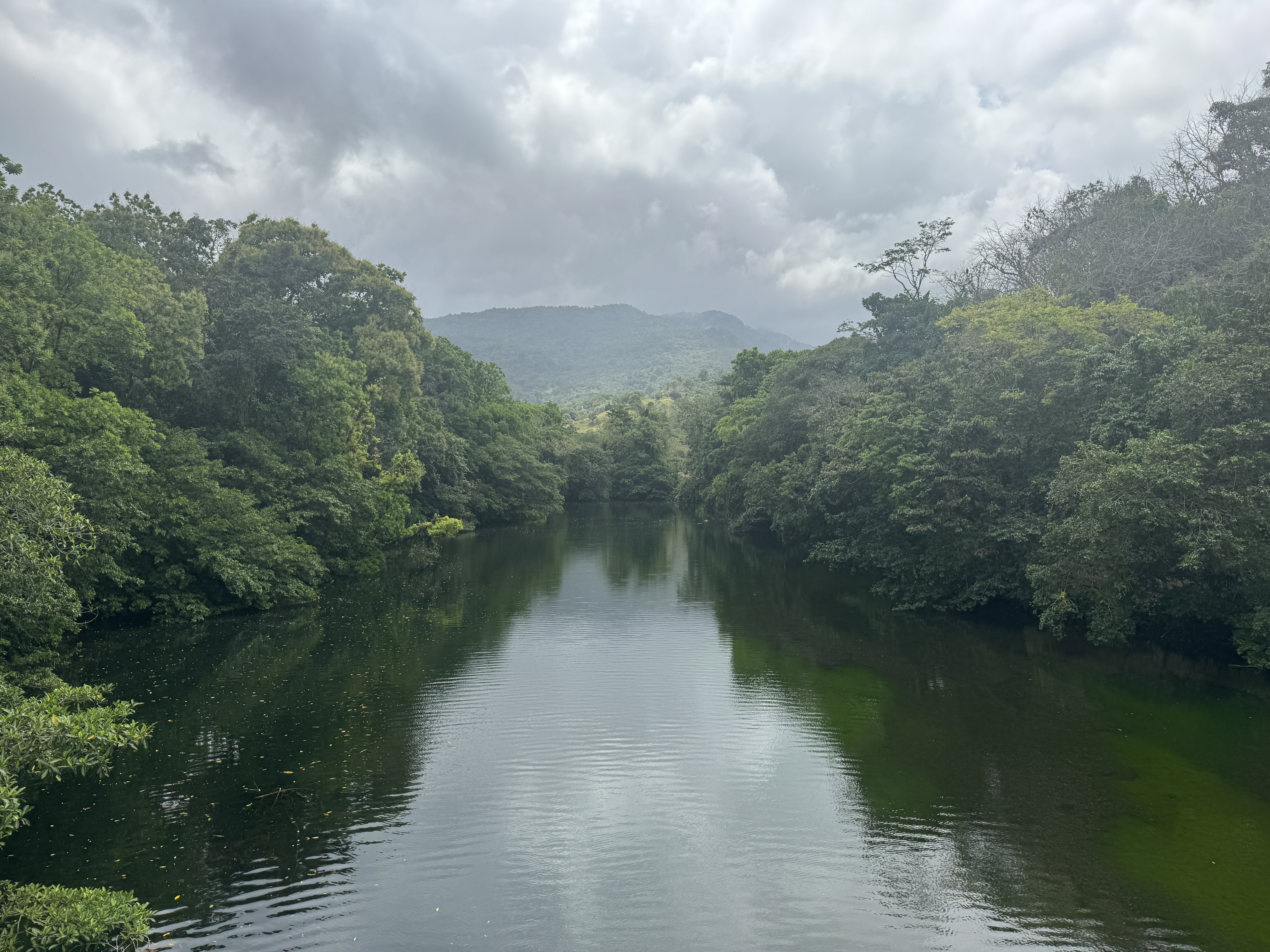 I looked for but did not find the terminus of the Camino Real.  Apparently, villagers still used the road as late as 1912.   Here's a river