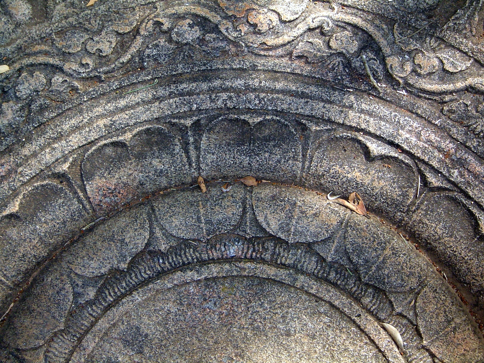 The inner rings.