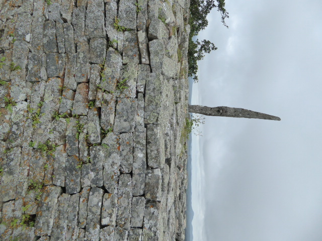 There are several of these uprights; what they were for is anybody's guess.