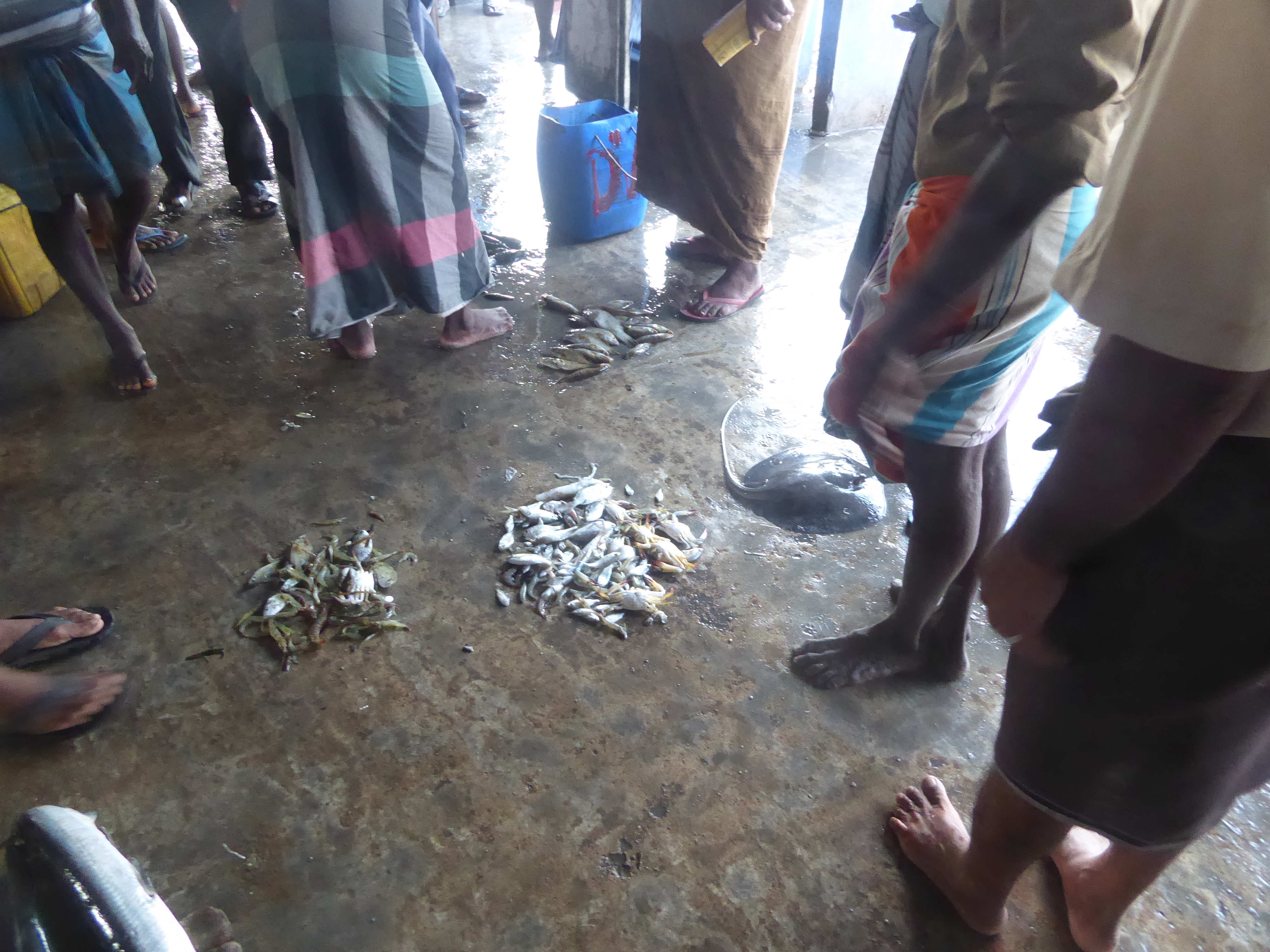 Sorry, I couldn't hear you. What was that you said about size limits?
