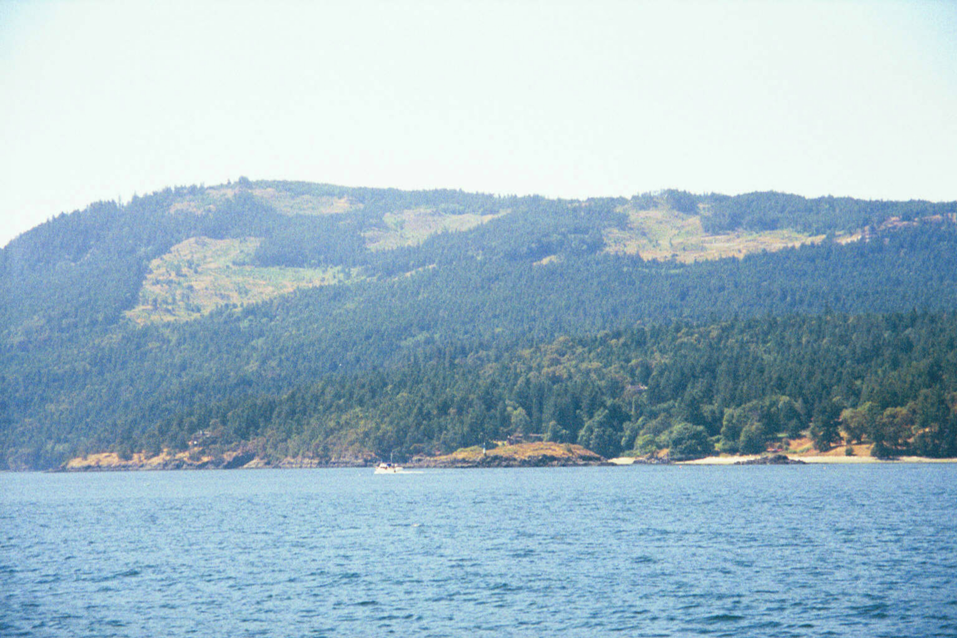 Looking east from the same position: the clearcut island mountains. Looks a lot like coastal Oregon and Washington, but this is all Crown la