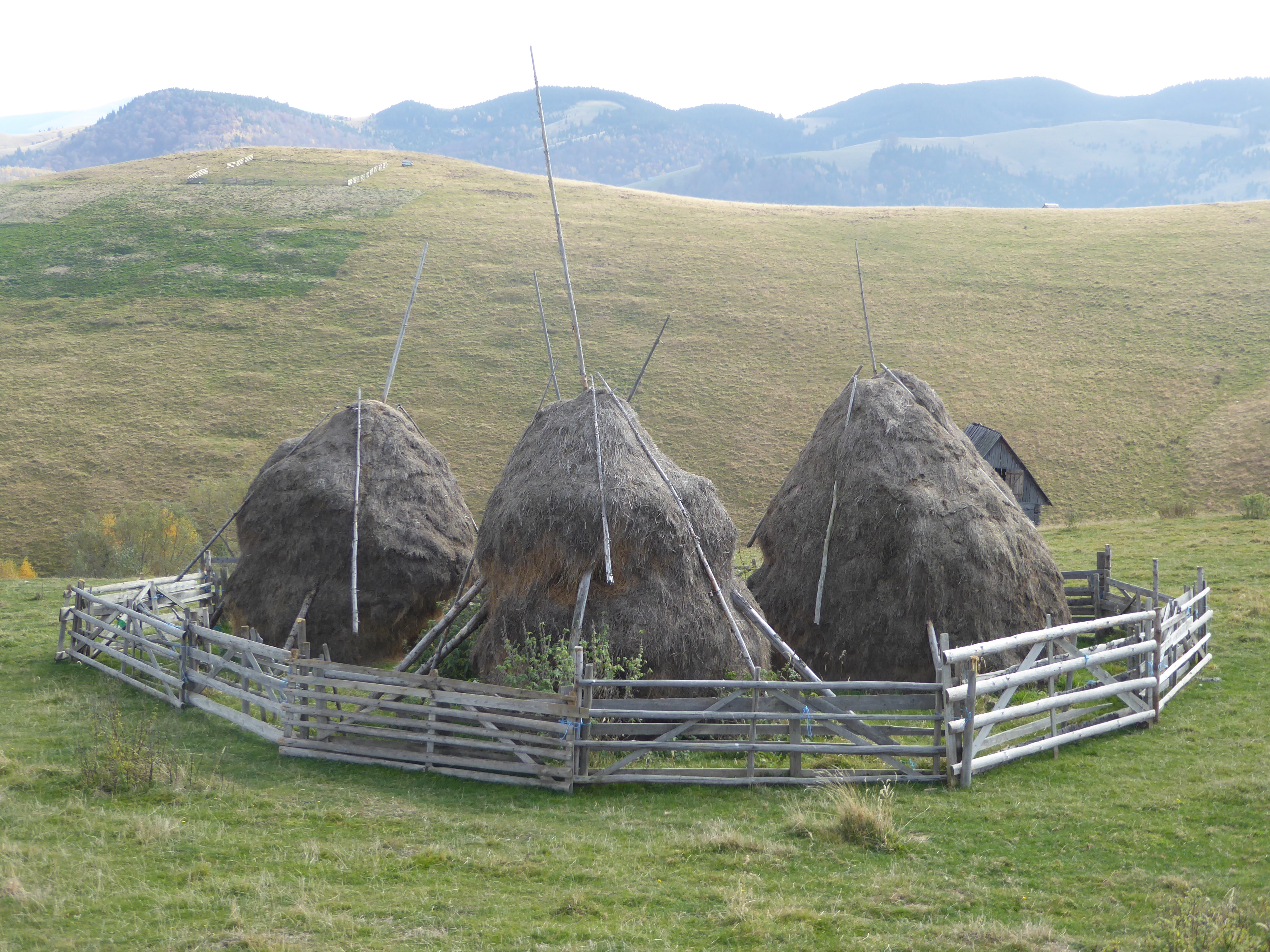 The same mountains are locally called the Muntii Cibin or Cindrel Mountains. The name Cibin is akin to Sibiu; both derive from Cibinium, the