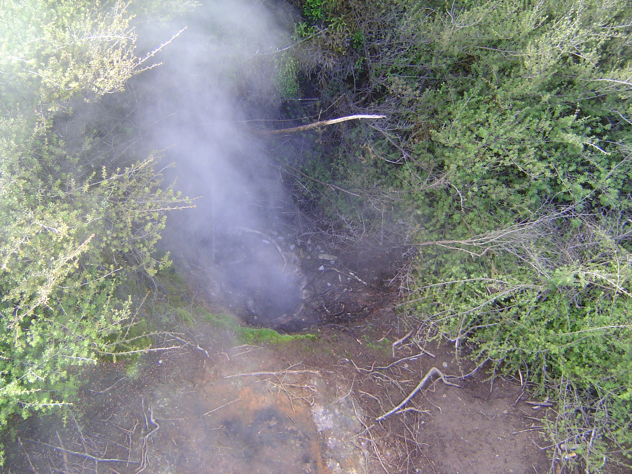 Lots of fumaroles or blowholes. Walking around here is easier if you don't think about Florida sinkholes.