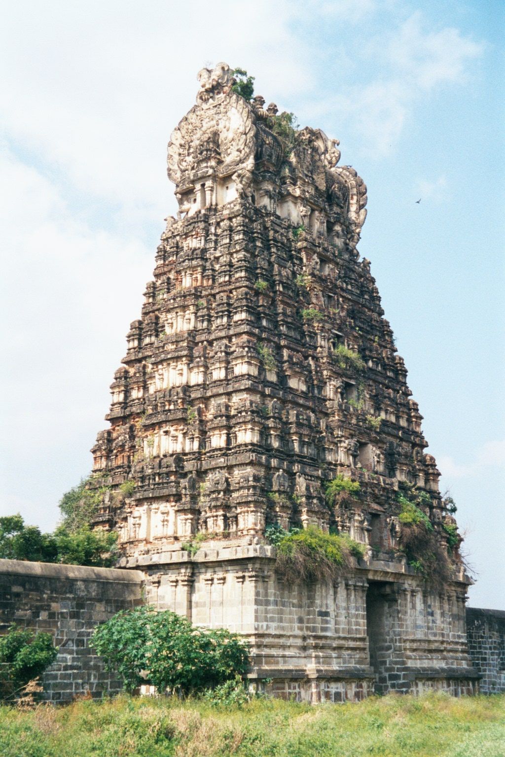 Another gopura, this one closed tight except to roots, gradually penetrating deeper and deeper.