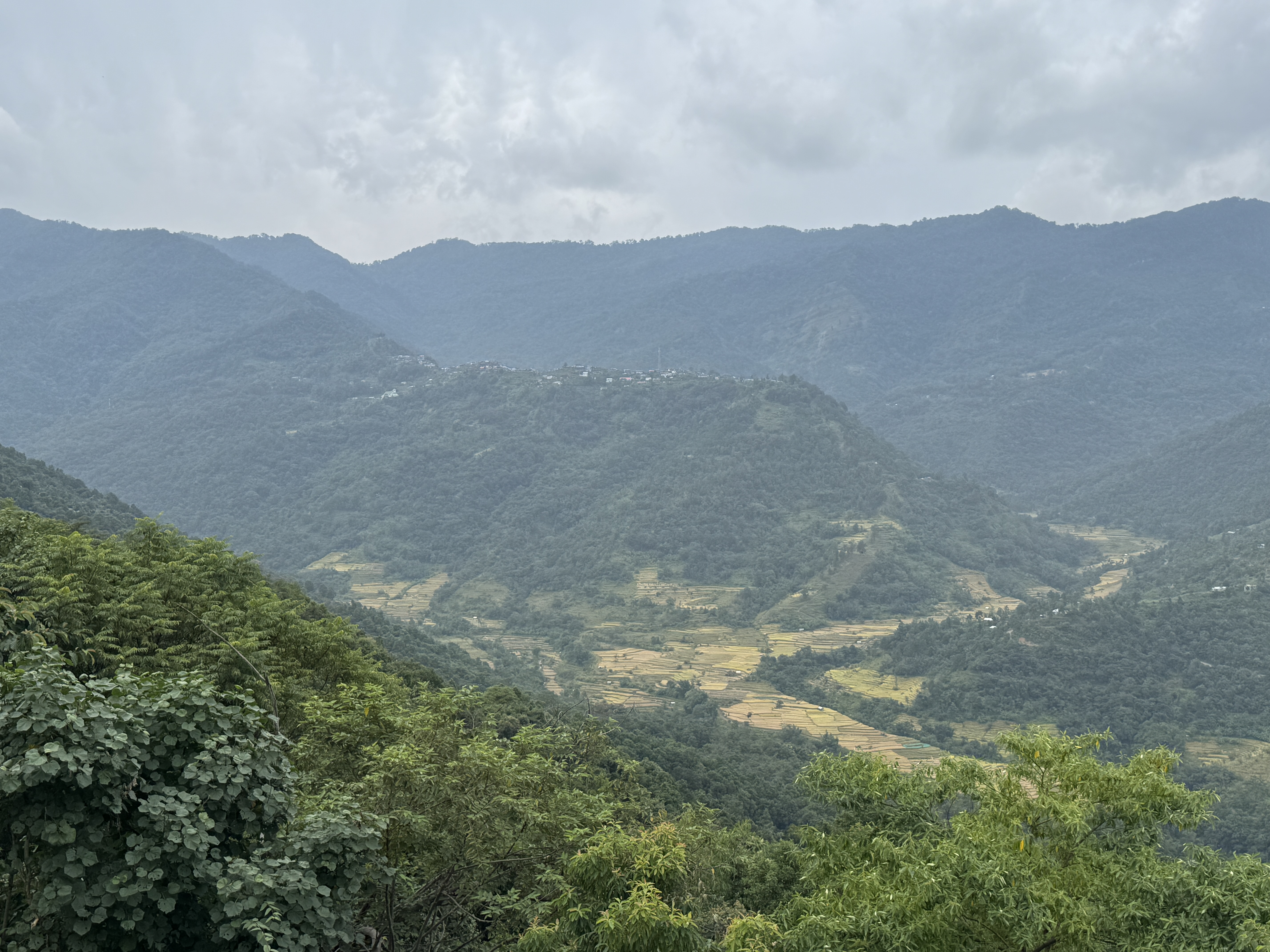 A bit closer.  Khonoma is surrounded on three sides by its paddy fields.  The Angamis were famous not only for their independent spirit but