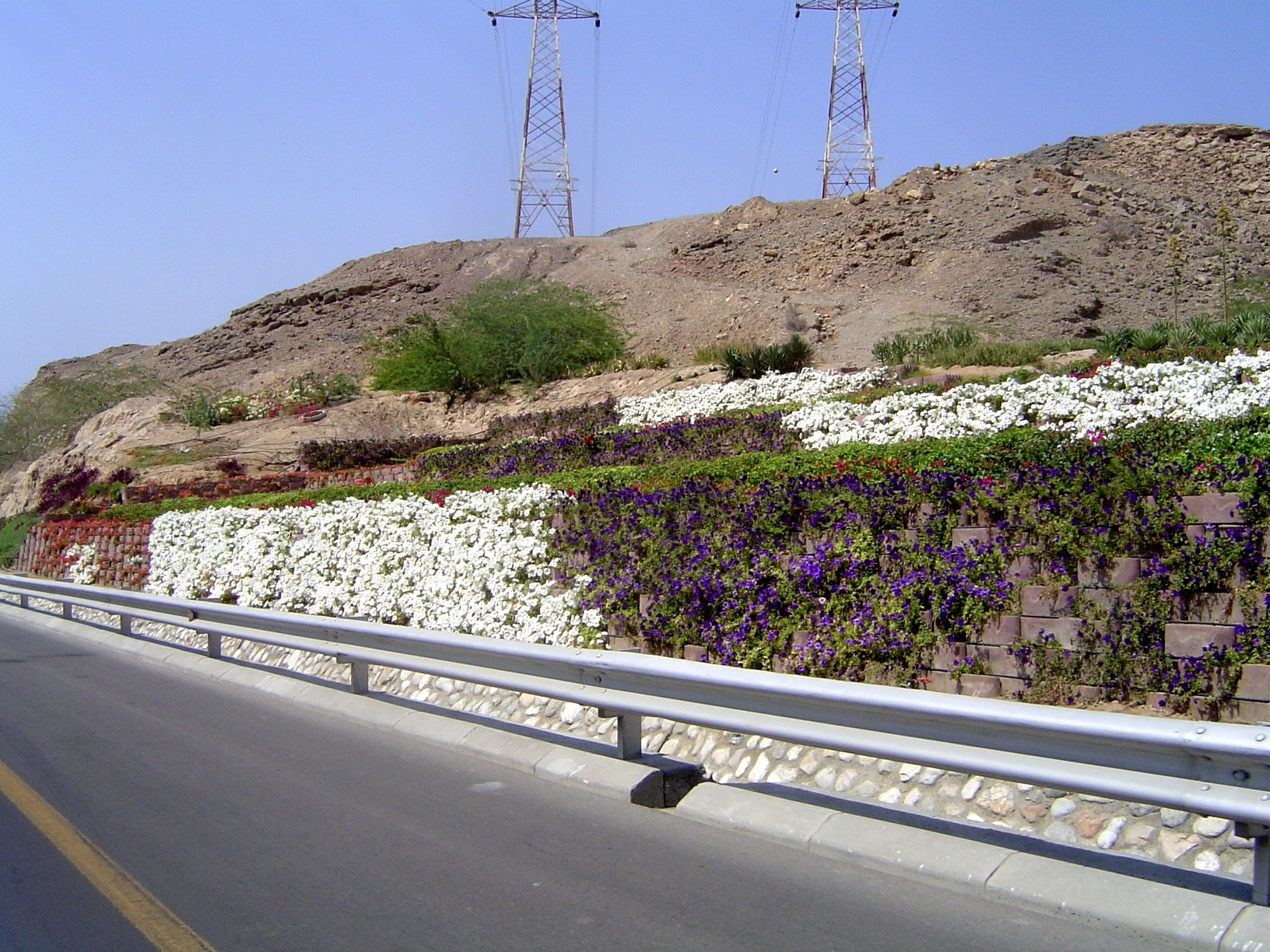 With a car, you can enjoy the flowers as you speed past them.