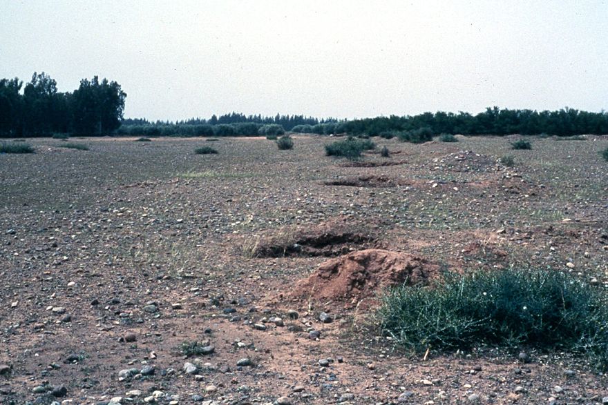 Here, a line of wells can be seen heading downhill in the direction of the oasis in the distance, where the water tunnel emerges at the surf