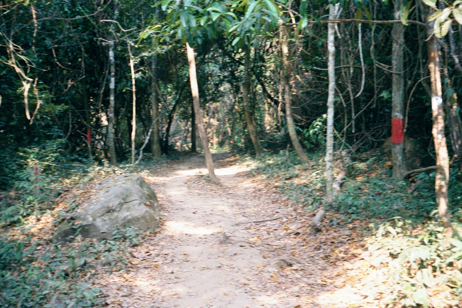 A half-hour's drive north of Banteay Srei, a path starts. The red banding marks the limits of the de-mined area. You don't see a lot of shor