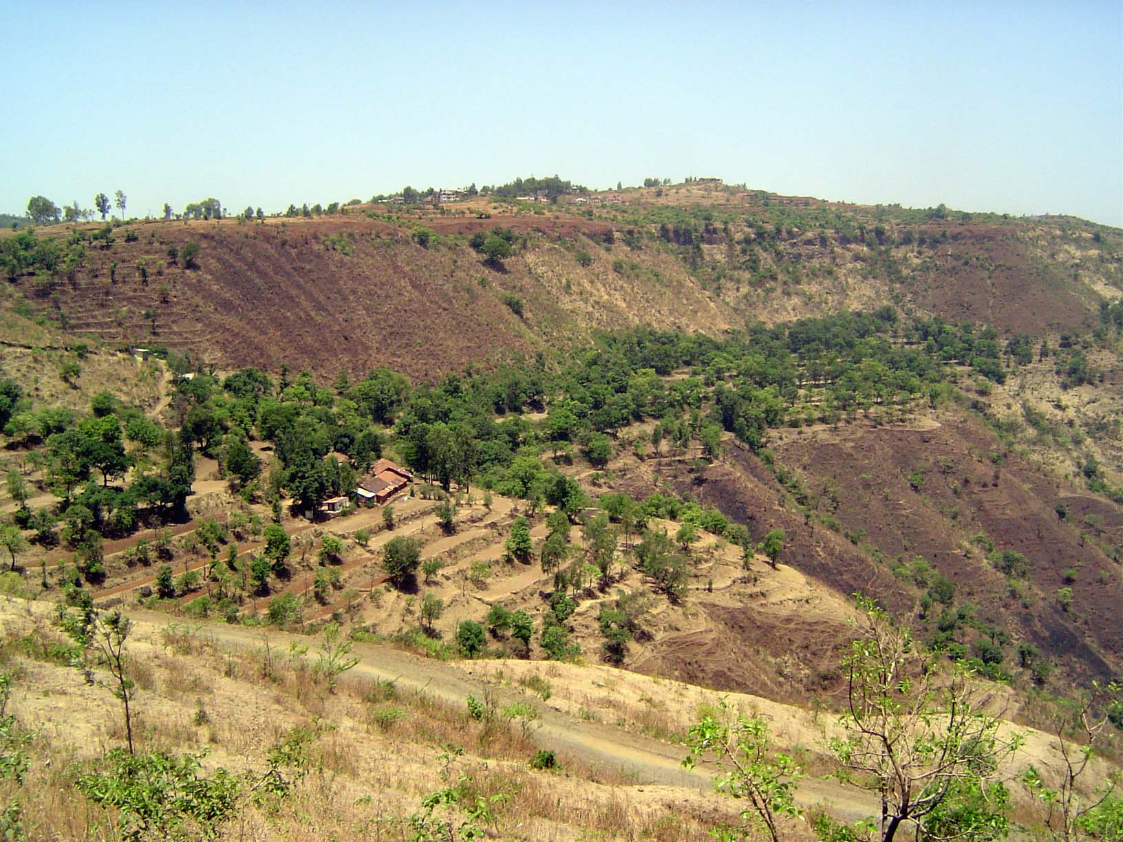A closer look at some terraces, cut wherever the slopes aren't too steep.