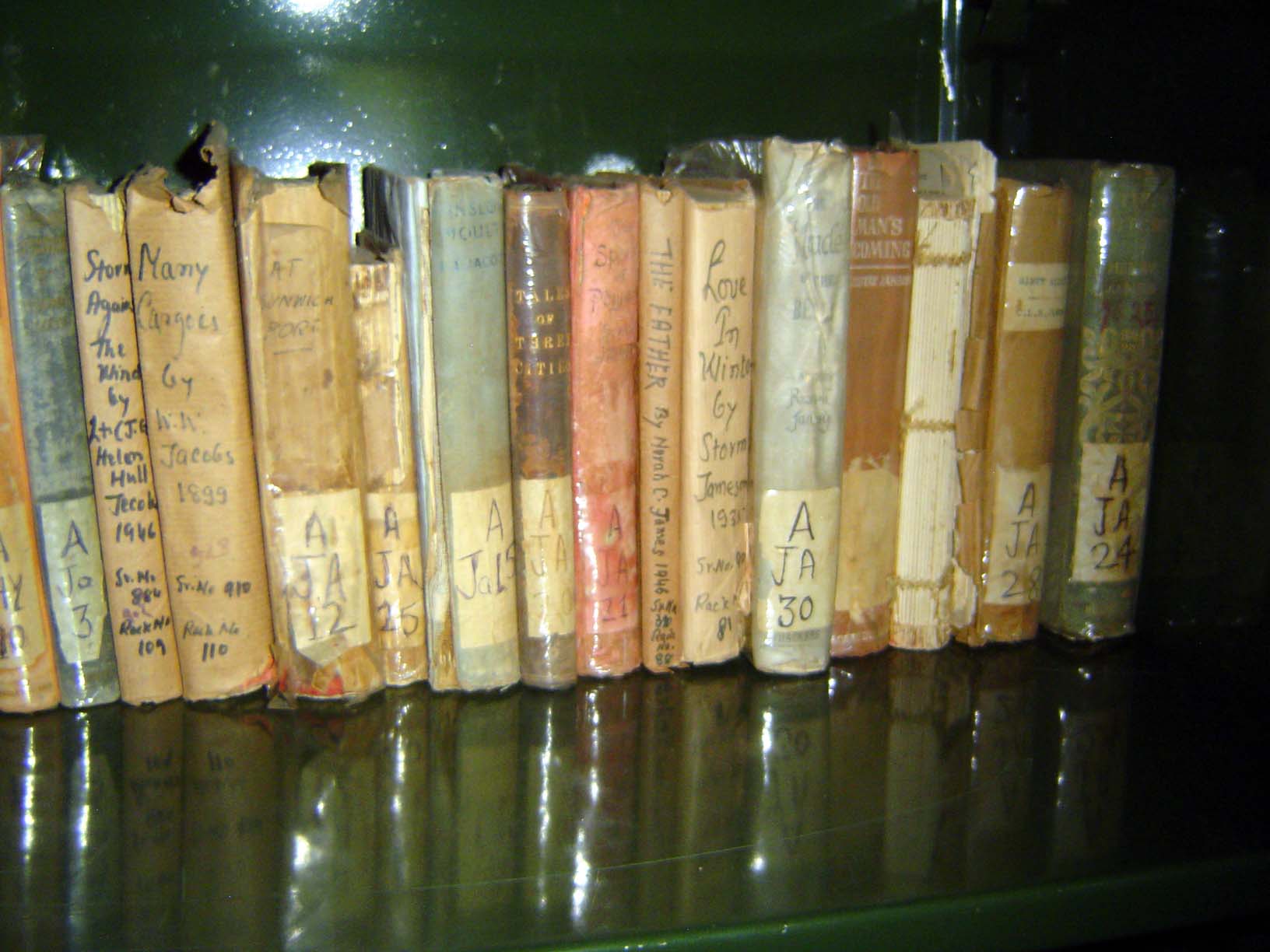 The library is a window into the mind of British India.