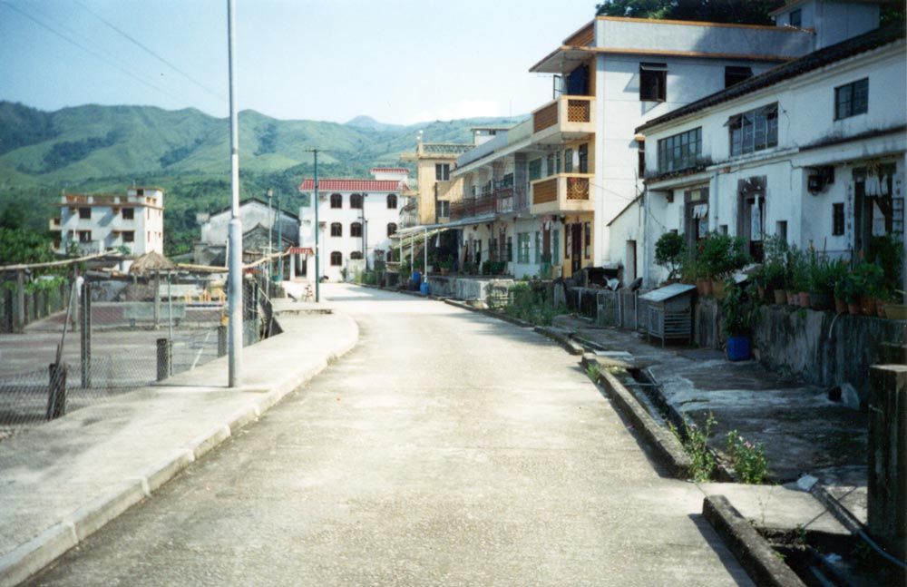 What's traditional about concrete buildings? The traditional elements are the quiet of the place, the arrangement of single-family homes alo