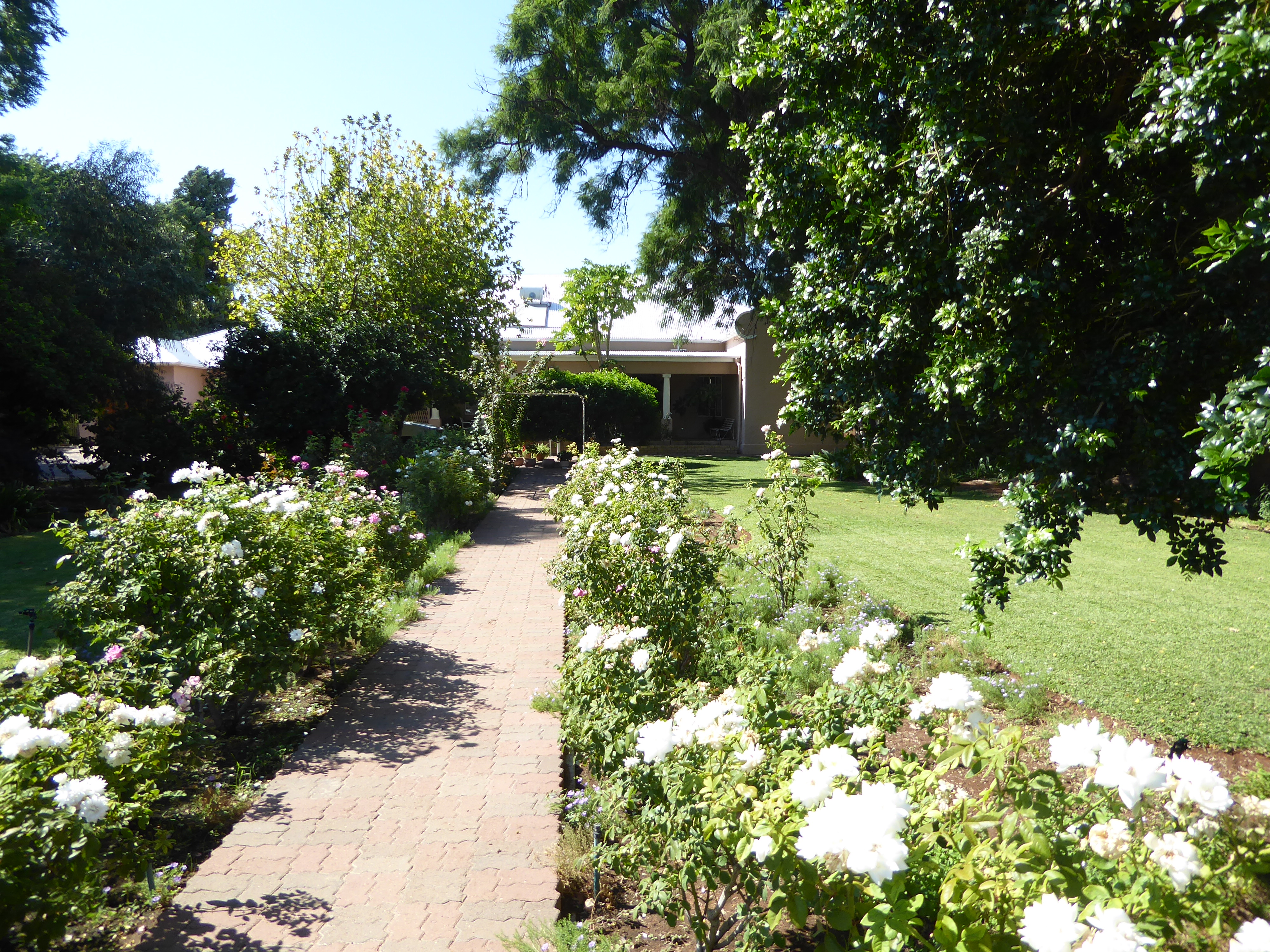 Older houses in town have the incomparable charm of gardens sustained by an abundance of water and cheap labor.