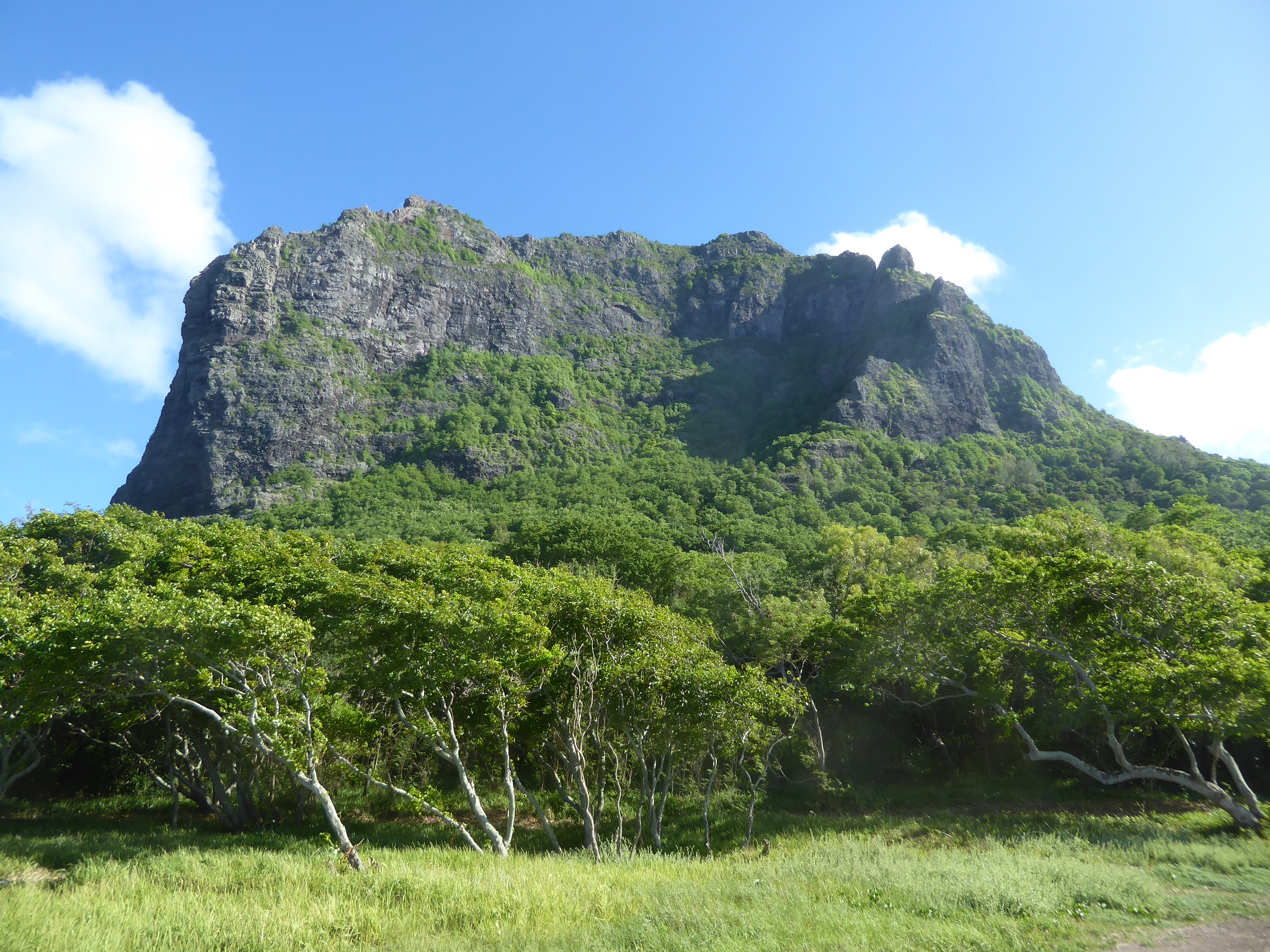 The mountain was famous in the 18th and early 19th century as a refuge for escaped slaves who apparently lived up top or in small caves. The