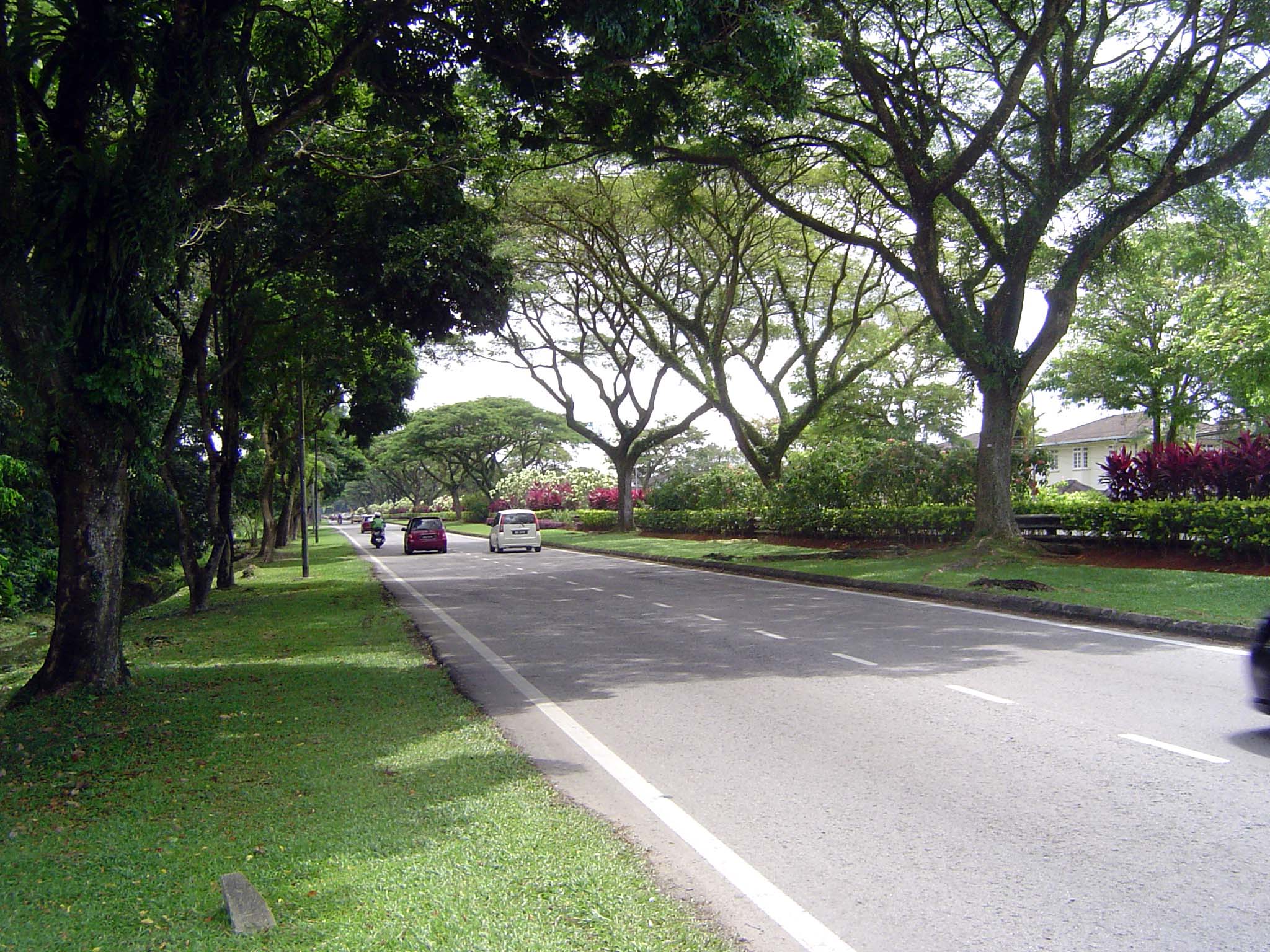 Avenue of approach. No sidewalks.