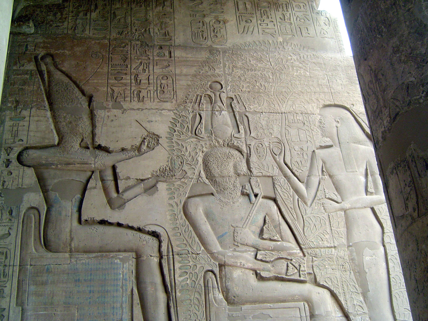 He sits before a Persea tree, while Amun-Ra writes the king's name on its leaves. The tree Mimusops schimperi was associated with the rising