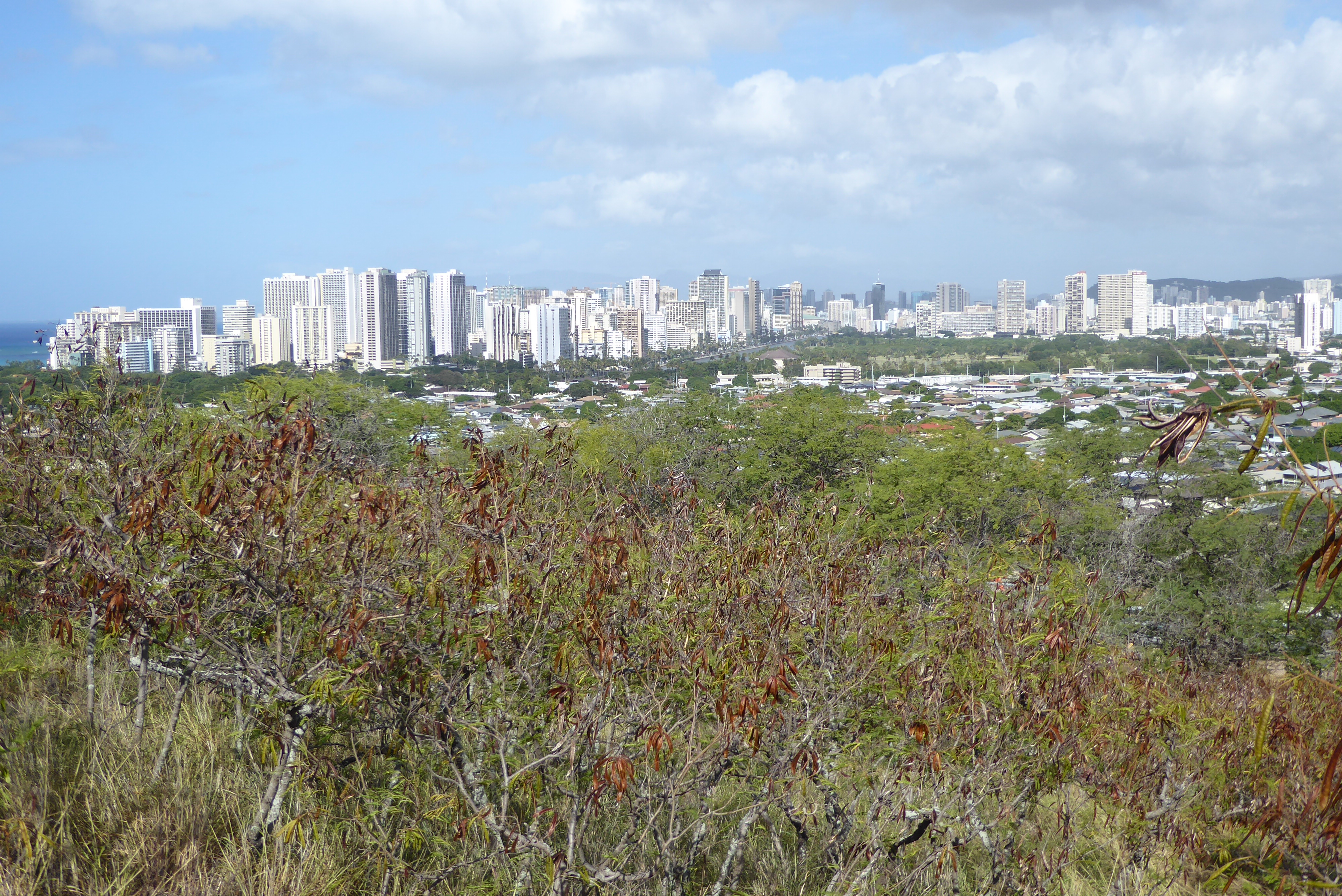 We've just climbed up the western slope of Diamond Head, a nearly circular tuff cone about 400 feet high, and we're looking toward the highr