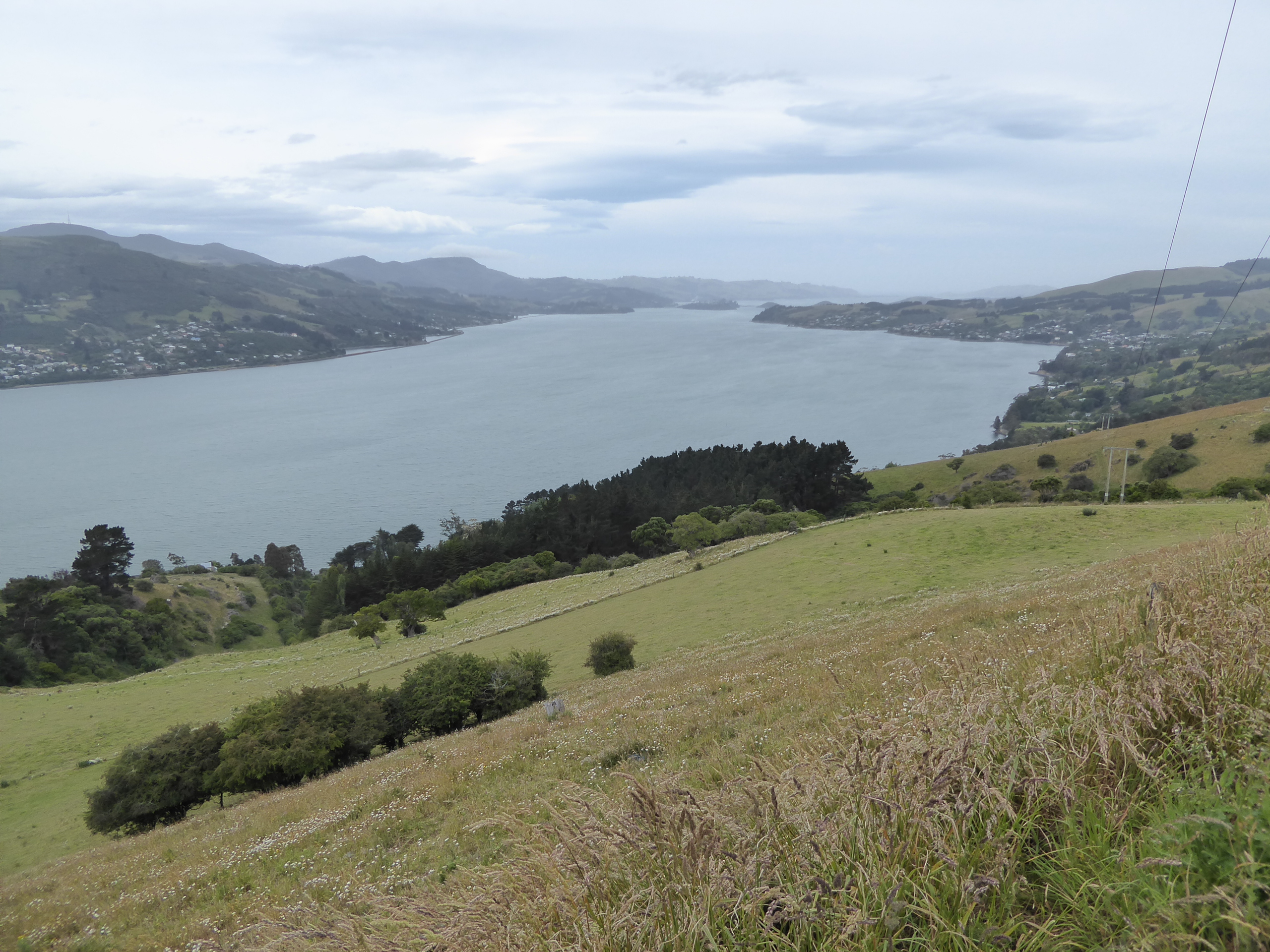 The view out to the sea. And yes, sheep still roam the hills.