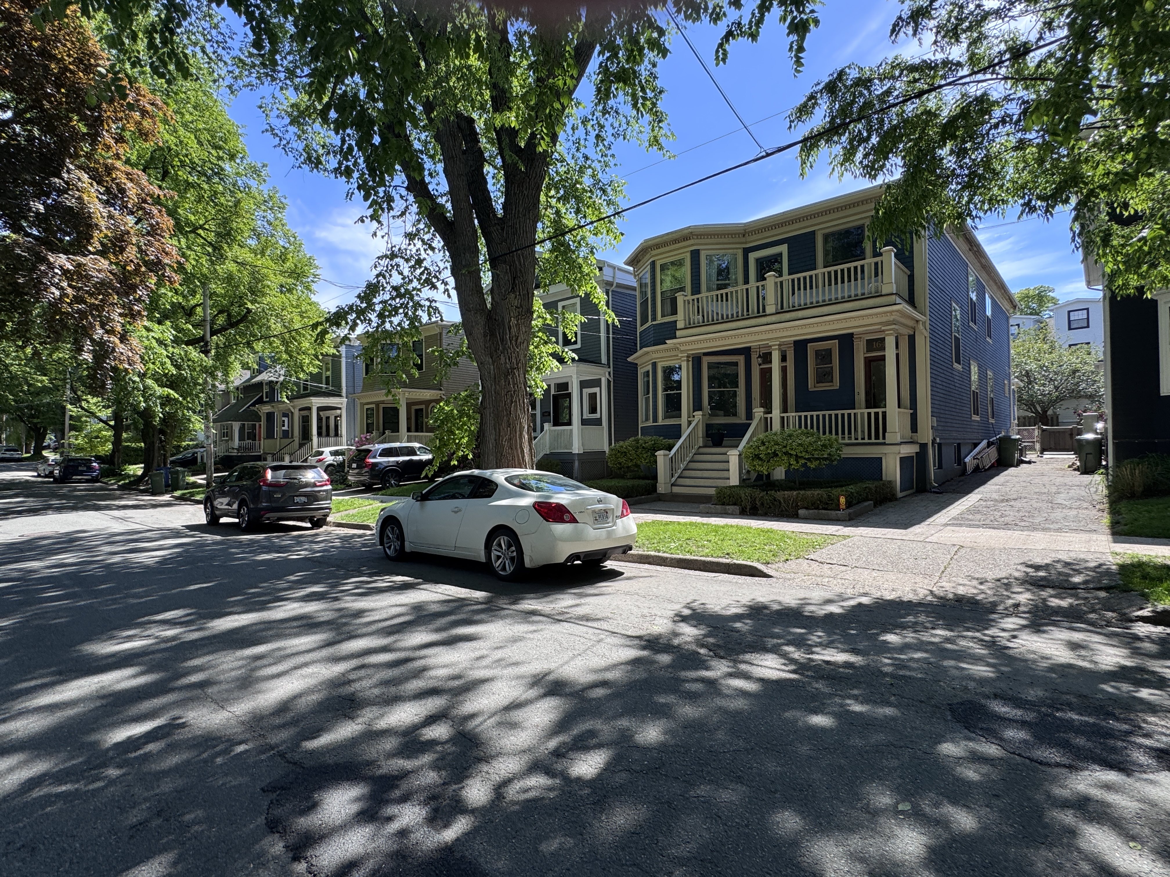 Old residential areas in Halifax are woody, whether the wood is in trees or was milled long ago into lumber.  Henry at Binney.  We're three