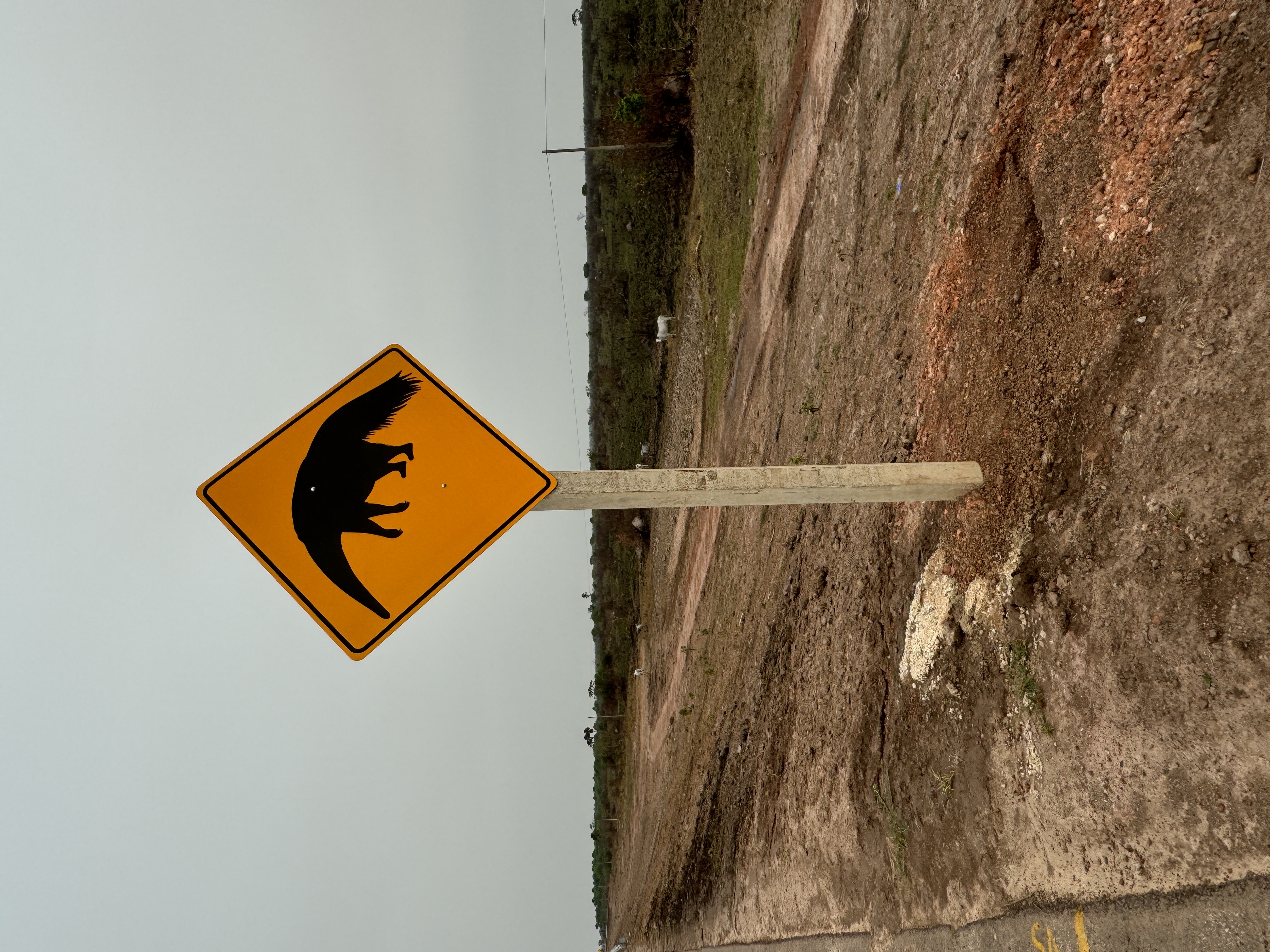 Ever seen a sign like this?