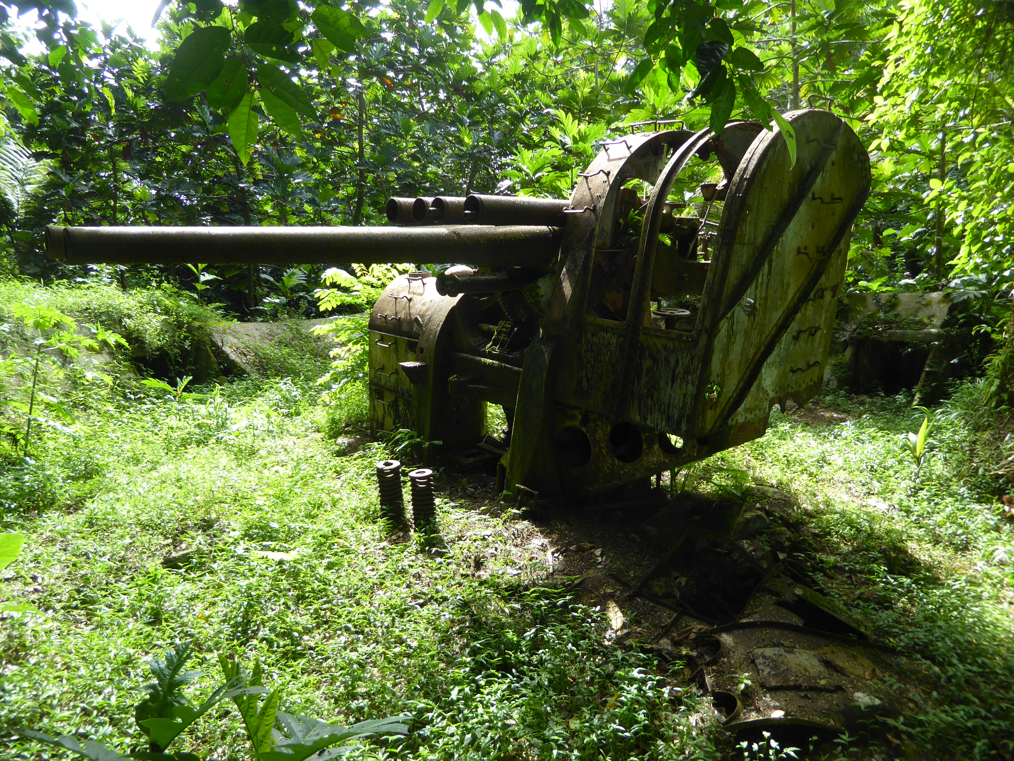 There are Japanese guns here and there, too. This one is atop Sokehs Island.