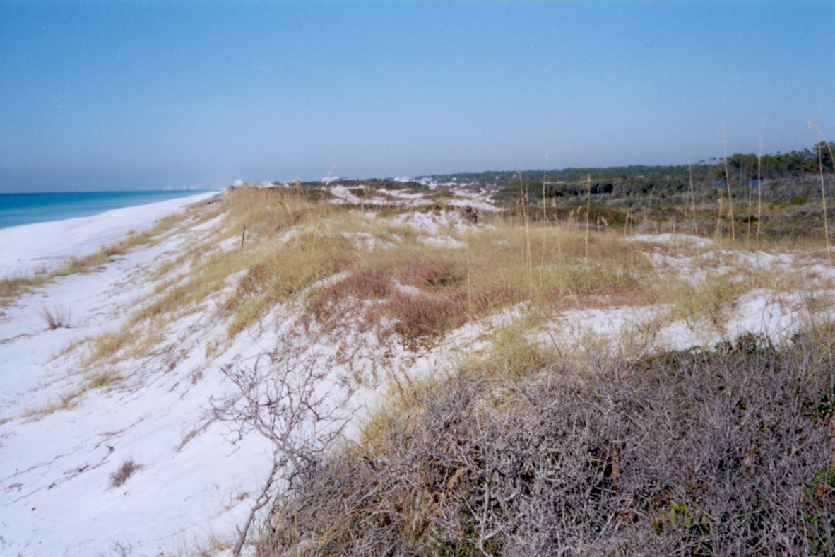 From the Mexican border to New York, the East Coast consists of a coastal plain, nearly all of which of which is edged by sandy beaches. The
