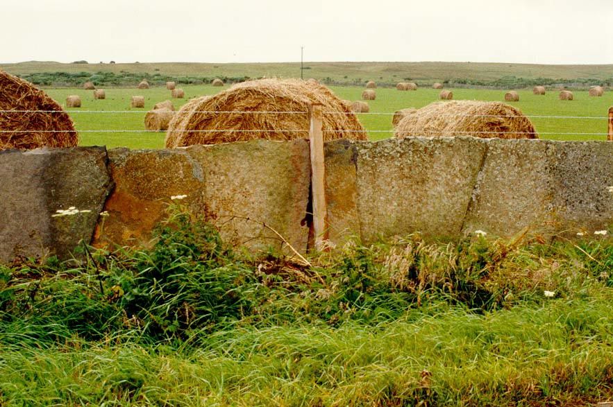 Up by Wick, large pastures with round bales and barbed wire co-exist with stone-slab fencing.