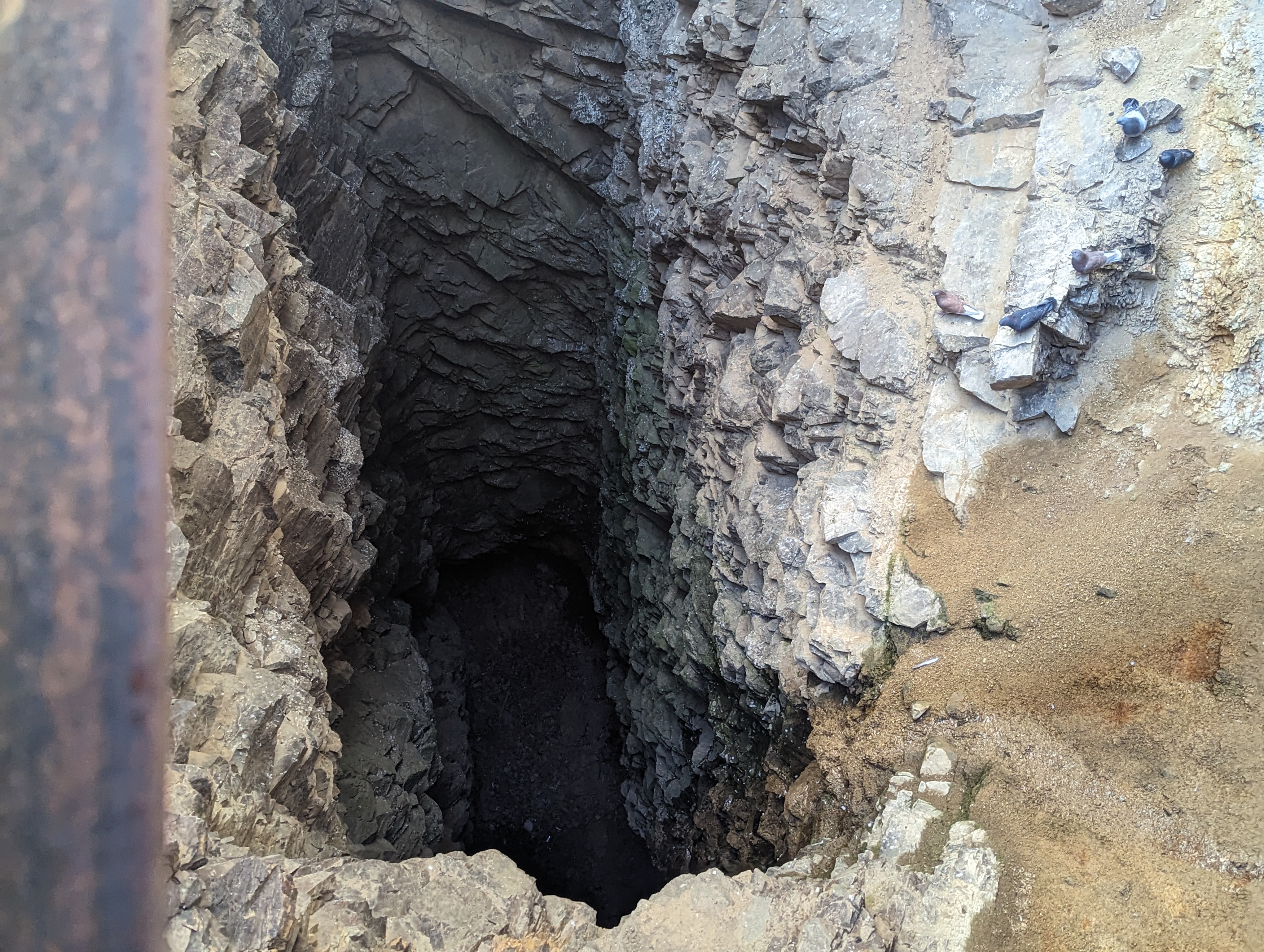 Here's a peak down one of the few still-visible shafts.  It's the Combination Shaft, sunk close to 3,000 feet.  It found nothing and closed