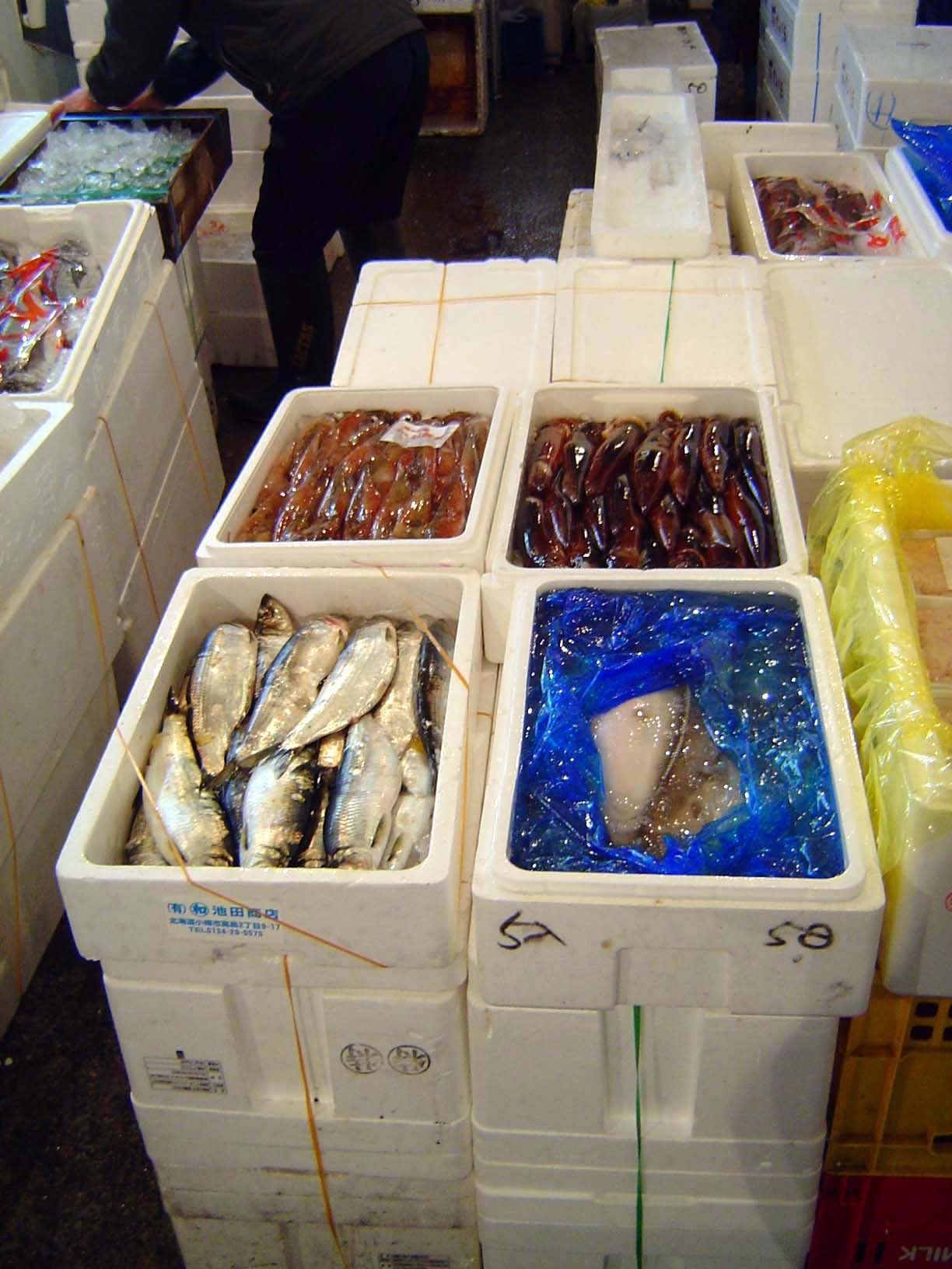 Standard boxes.