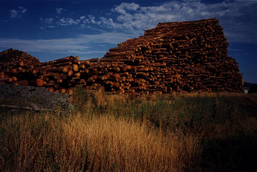 A sawmill's stock near Chinese Camp, in the foothills west of Yosemite.
