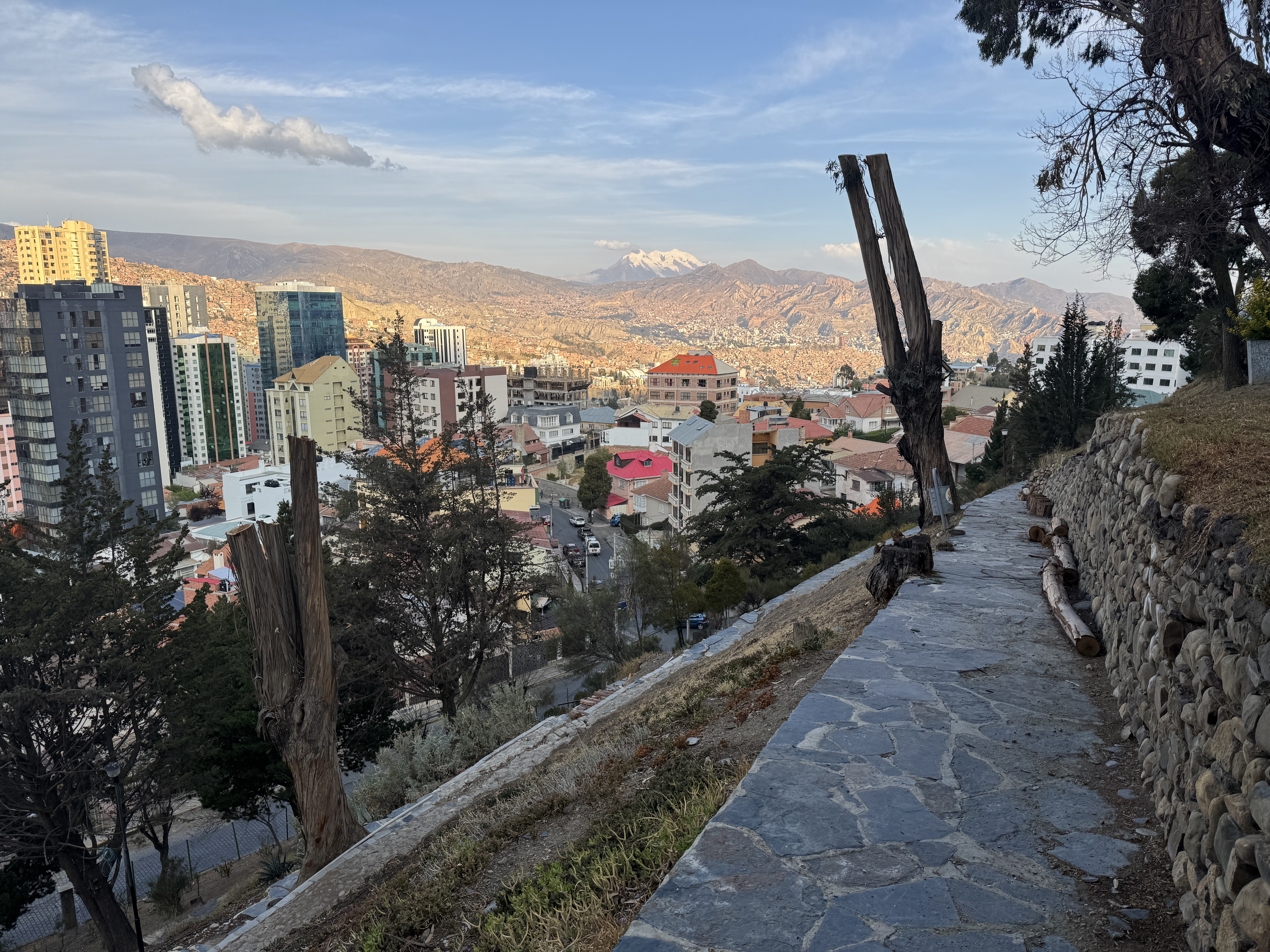 The same park, looking off to the southeast and snow-capped Illimani.  This is the only snow I saw in Bolivia.  About 25 miles from La Paz,