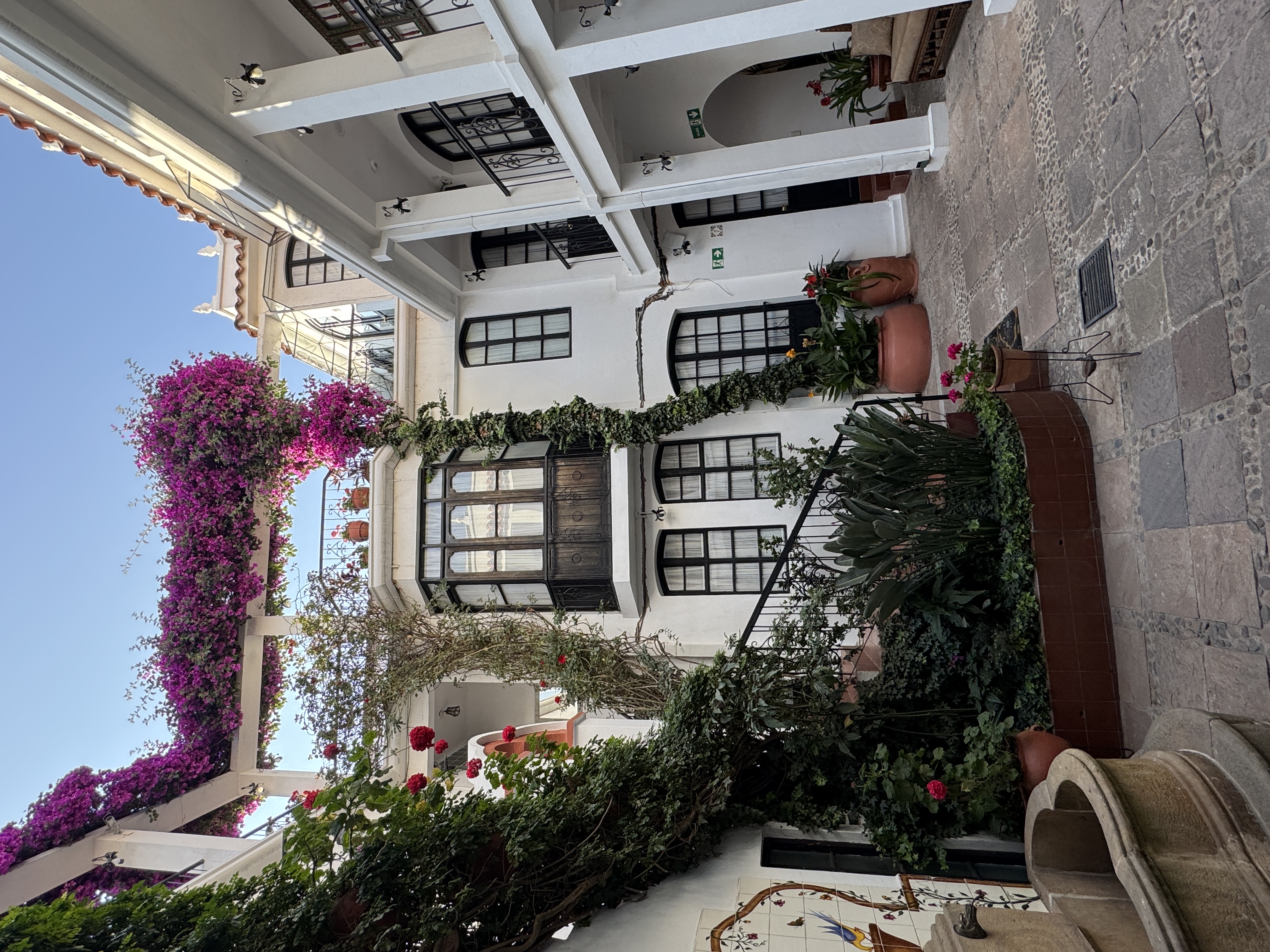 You can do a lot with one bougainvillea.
