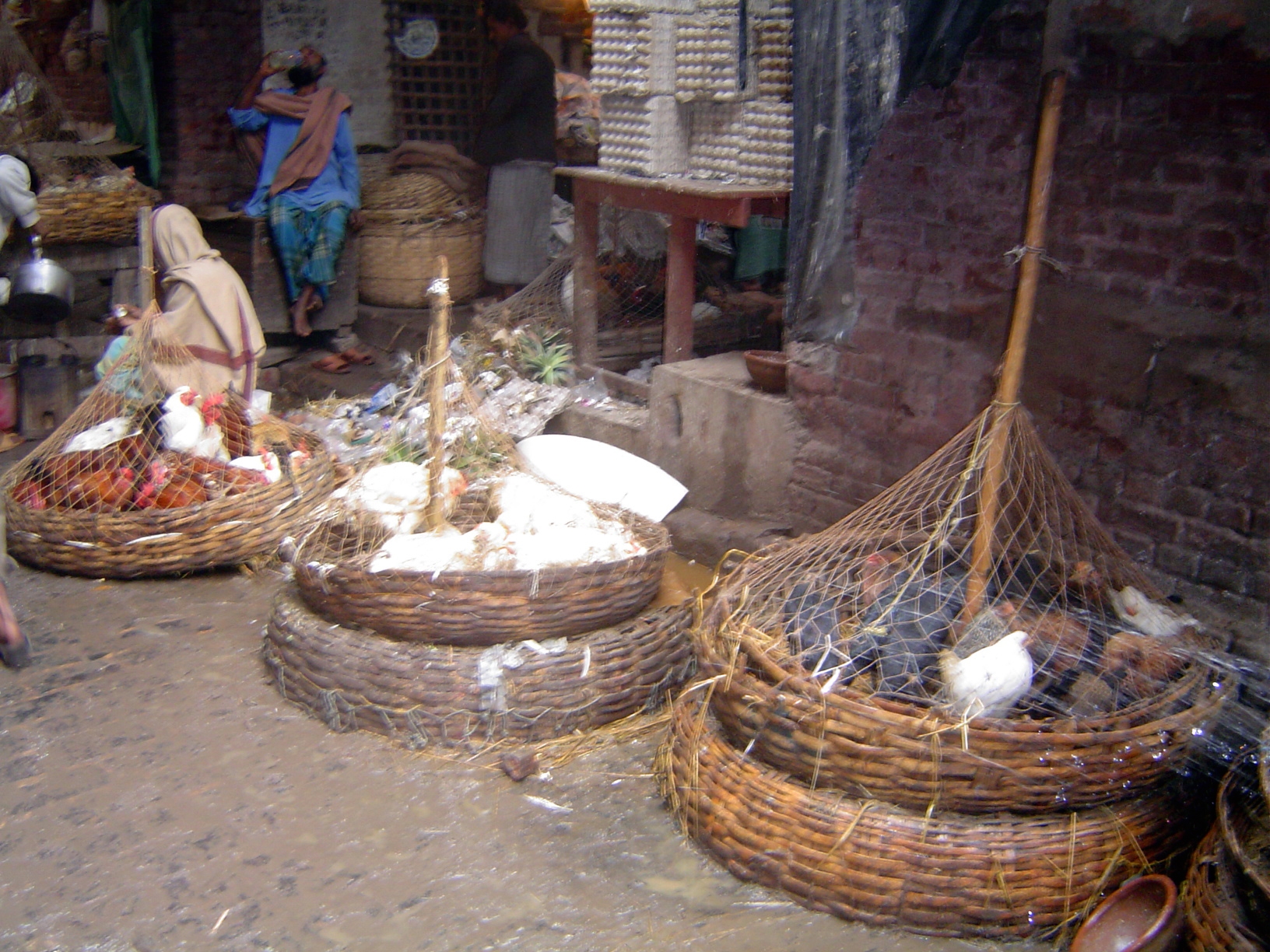 In netted baskets.