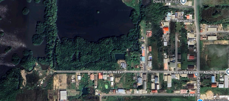Here's a close-up of the swamp inland from the mud.  We're at the north edge of the town of Felicity.